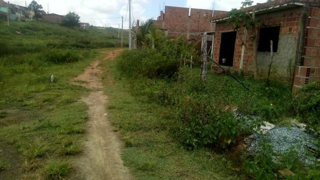 Tereno em rusarinho Paudalho - Foto 5