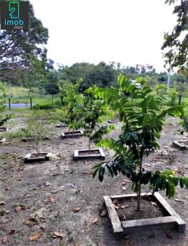 Vendo Fazenda em Novo Airão - Foto 13