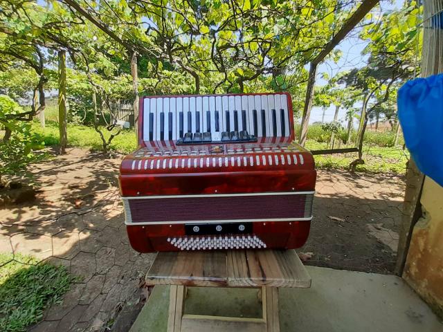 Acordeon/gaita - Foto 6