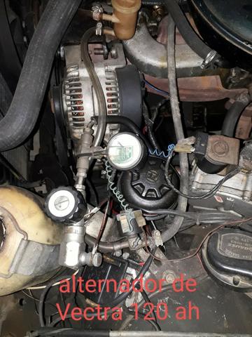 Opala diplomata - Foto 18