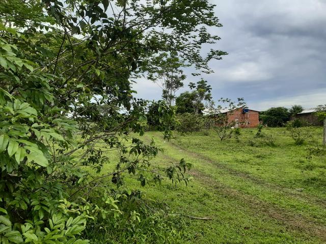 Terreno bem localizado - Foto 3