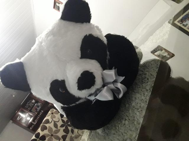 Linda cama Panda para Pet - Foto 6