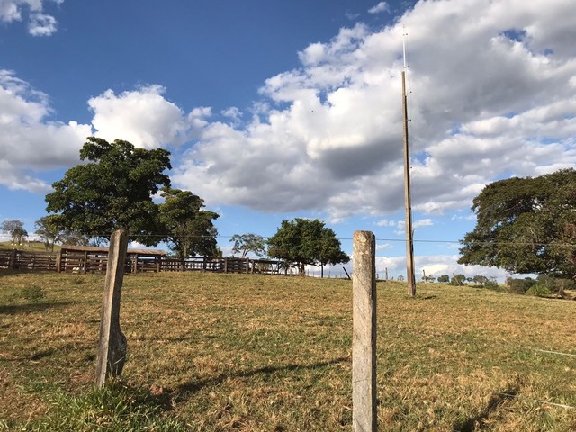 Fazenda de 91 alqueires em Guapo-Go  - Foto 5