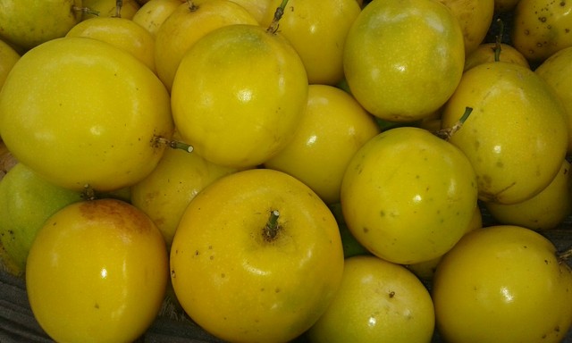 Maracujá, coco seco, laranja para Aracaju. 