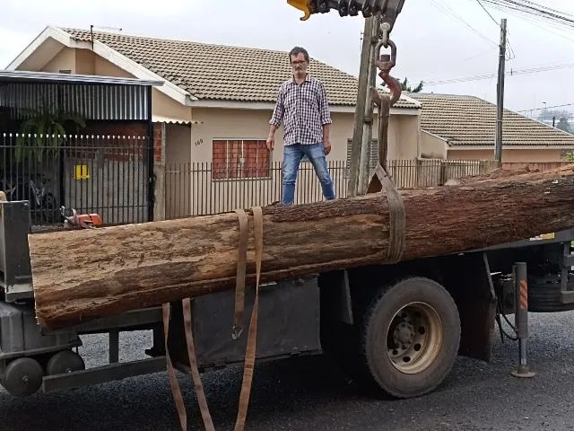 Produção Industrial de Tábuas - Foto 5