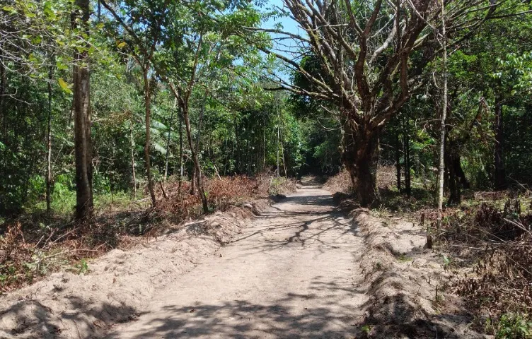 Terreno 40ha próximo a Belém - Ideal para Sítio, Loteamento ou Empresa!