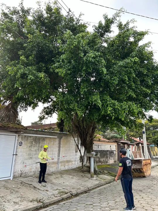 Cortes e Podas de Árvores  - Foto 3