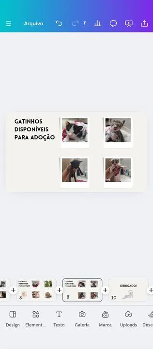 Gatinhos disponíveis para adoção!