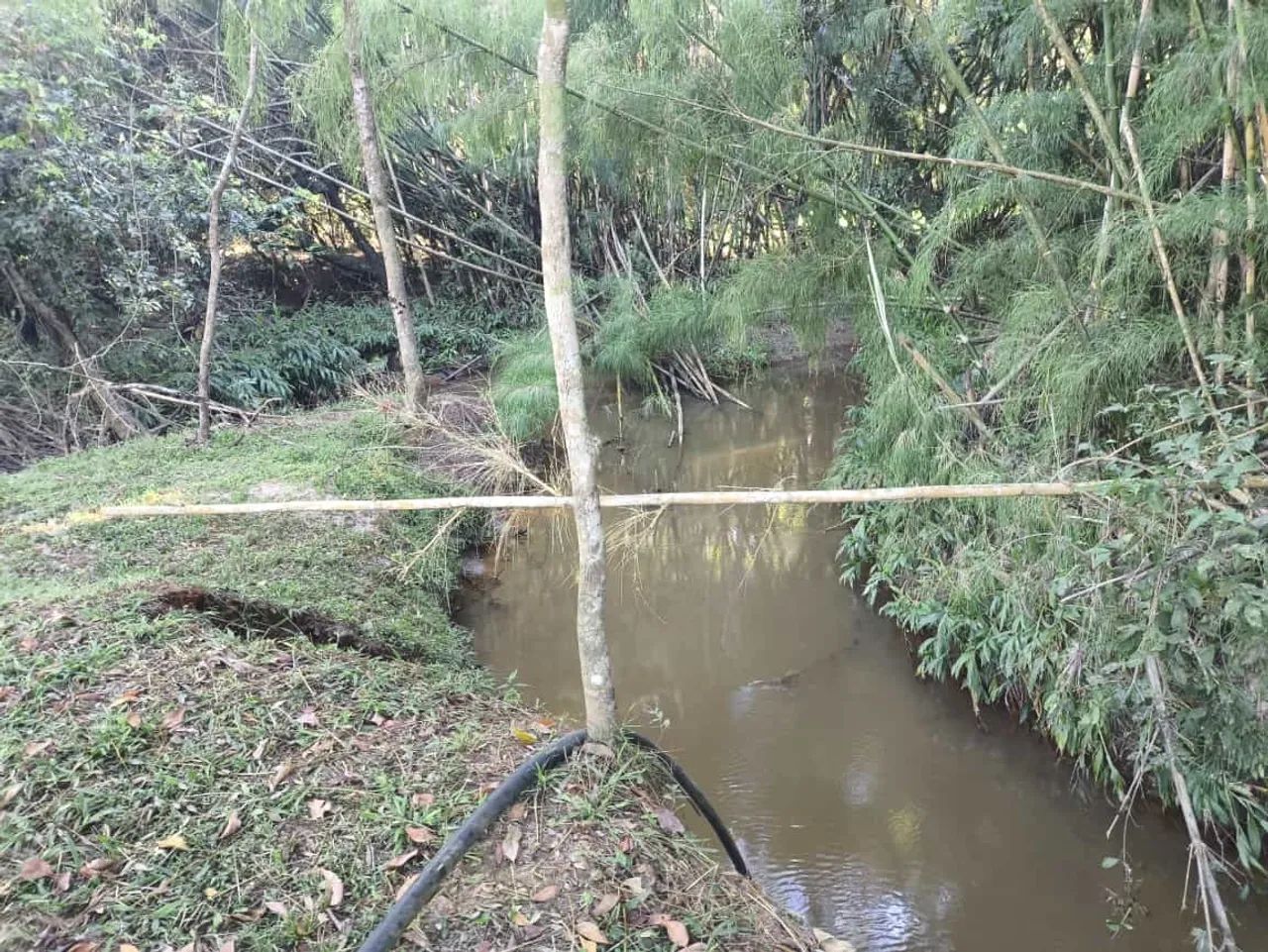 VENDO CHÁCARA EM PLANALMIRA COM CORREGO  - Foto 11