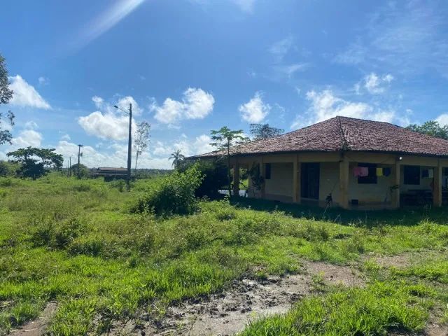 Fazenda em Itapecuru Mirim do Maranhão - Foto 4