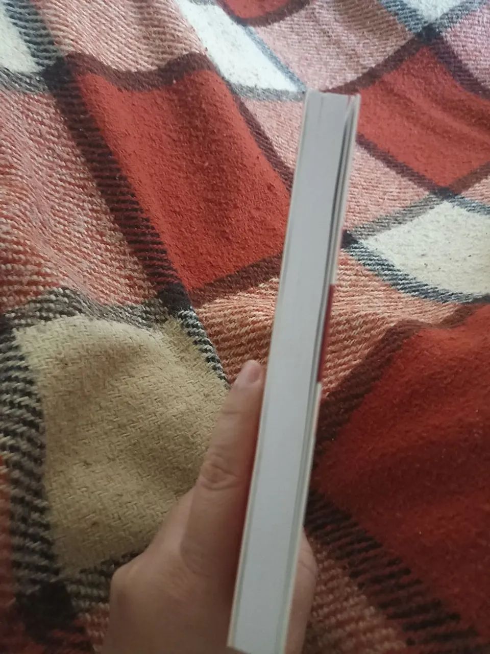Na Moda sem erro - Foto 4