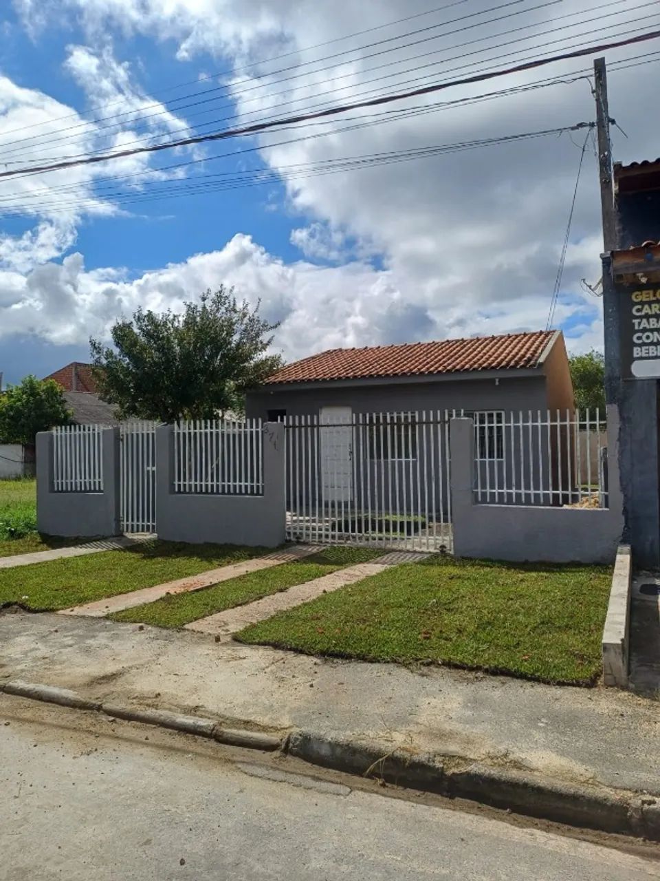 Foto - Araucária - Campina da Barra