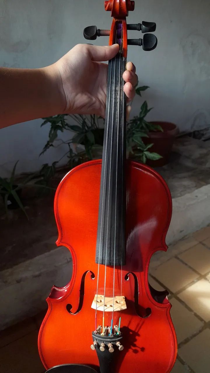 Violino Michael VNM40 4/4 - ajustado 