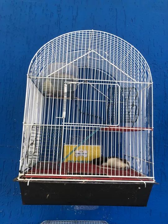 GAIOLA PARA HAMSTER  - Foto 2