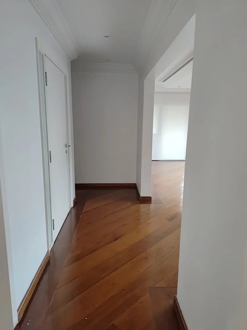 Apartamento pertinho do Museu do Ipiranga!! - Foto 5