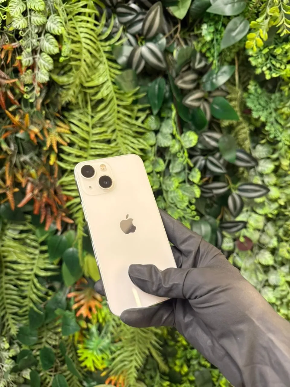 iPhone 13 Mini 128GB - Lindo demais, todo original - Até 18x