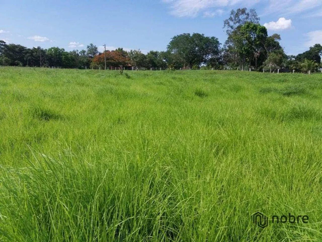 Fazenda à venda, 2109937 m² por R$ 10.000.000,00 - Gurupi - Gurupi/TO - Foto 2
