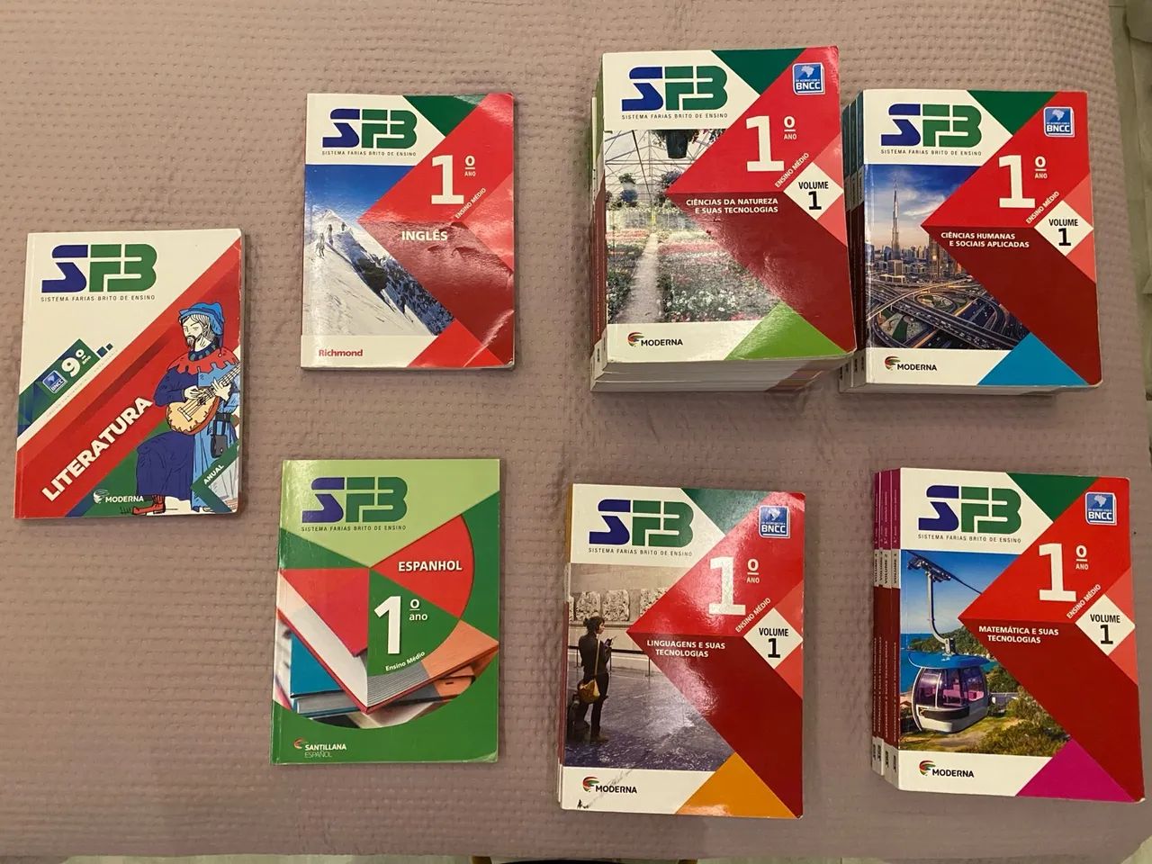 Livros Didáticos 1º Ano - SFB - Novo