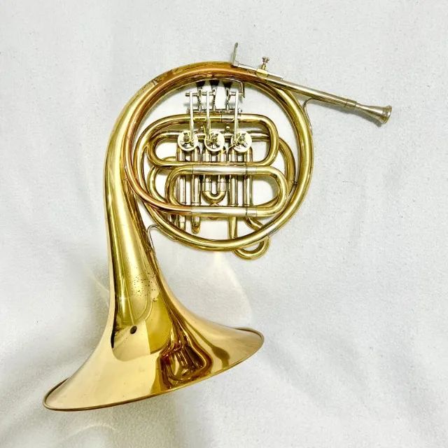 Trompa Junior Shelter Sib Com Bocal (Usado)