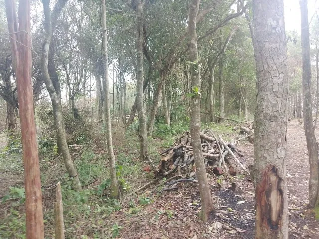 Terreno à venda, 10x110 aceita carro no negócio