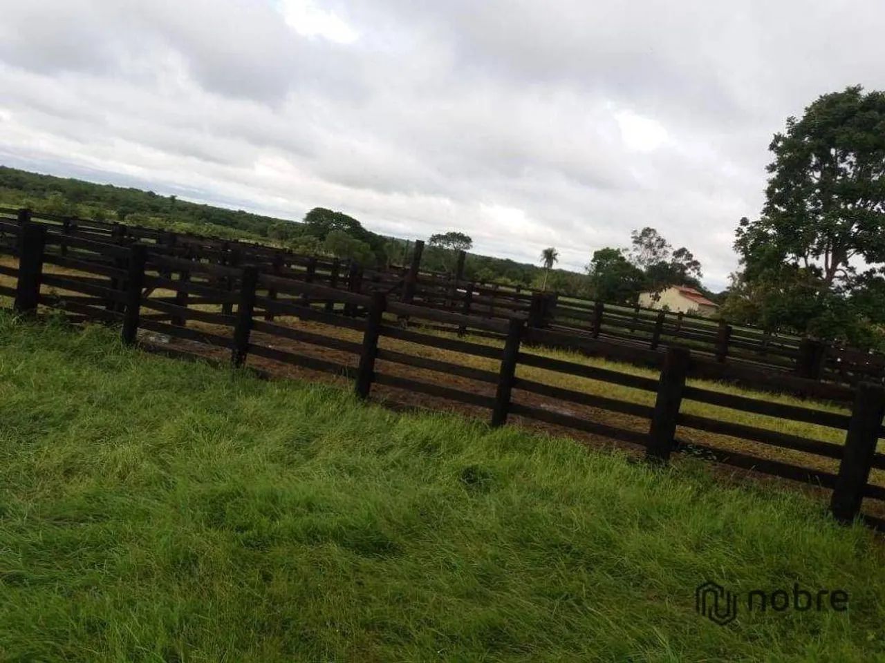 Fazenda à venda, 2109937 m² por R$ 10.000.000,00 - Gurupi - Gurupi/TO - Foto 4