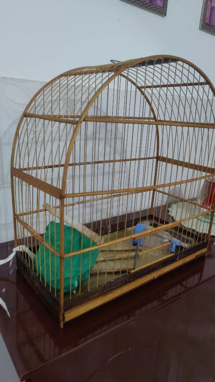 Gaiola para pássaros em ótimo estado - Foto 2