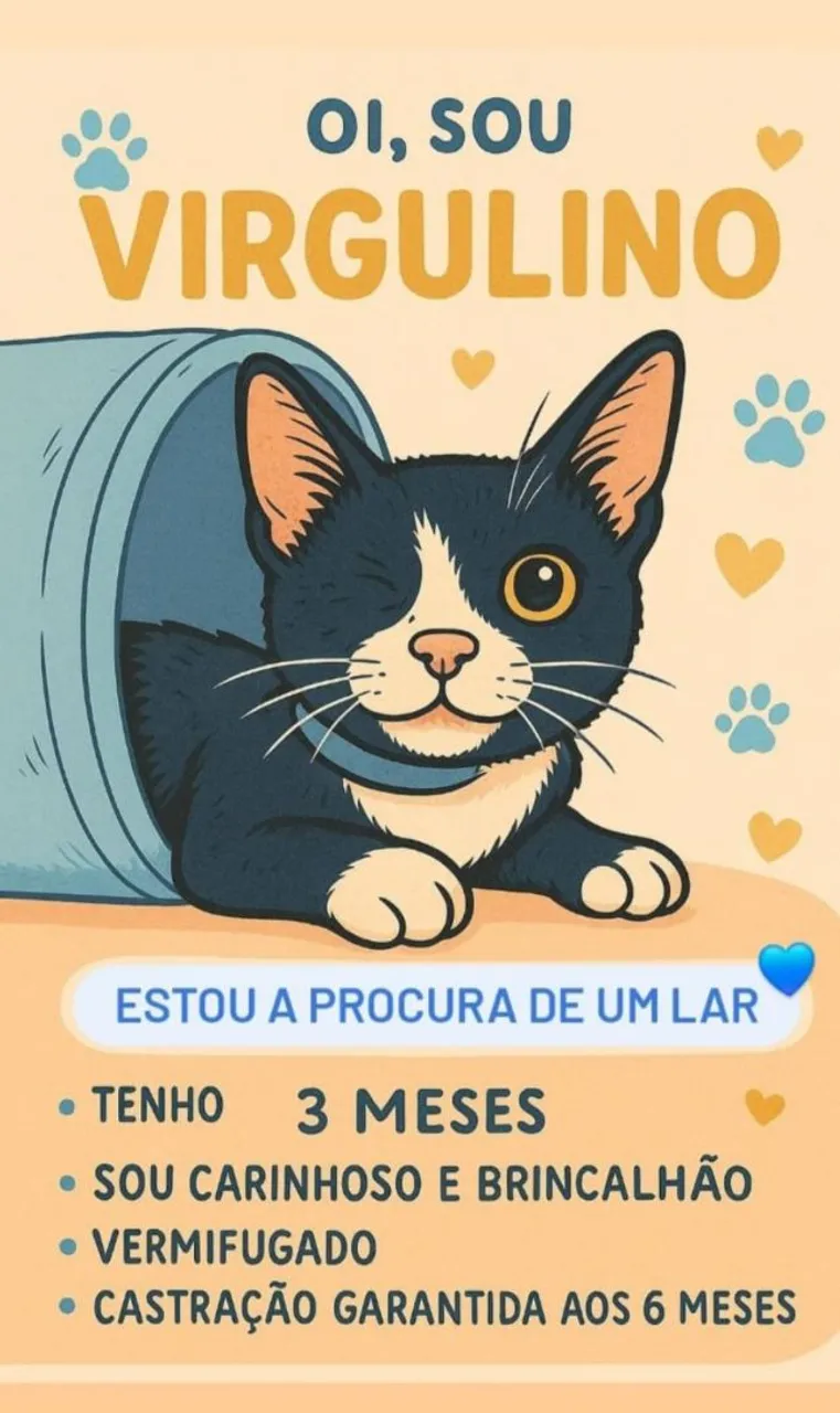 Gatinho Para Adoção