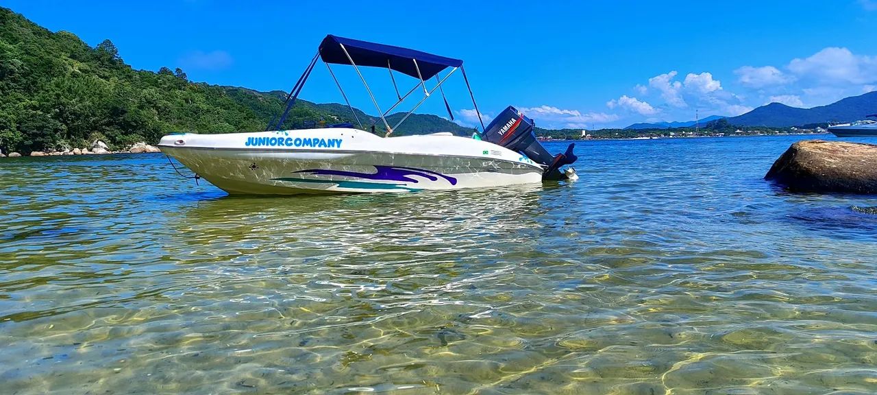 Lancha 15 Pés Focker Twister Motor 50 HP  com Power Trim