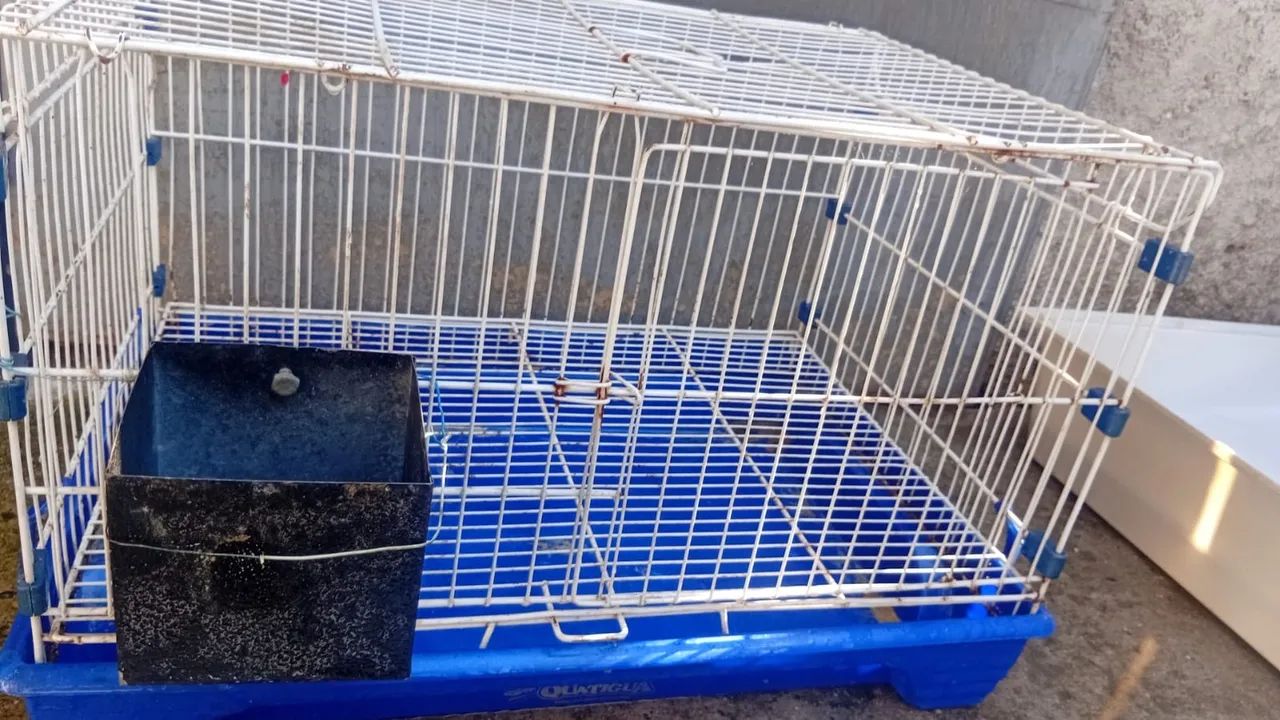 Gaiola para Roedores - Foto 3