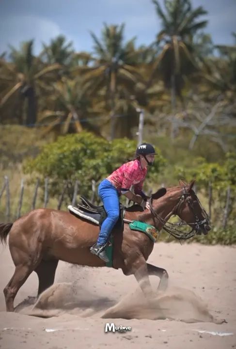 Cavalo para iniciante de direita - Foto 6