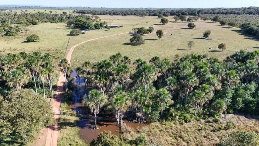 Fazenda 288 hectares com Rio! - Foto 4