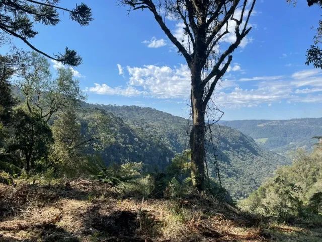 Terreno com Canion em Urubici Serra Catarinense  - Foto 3