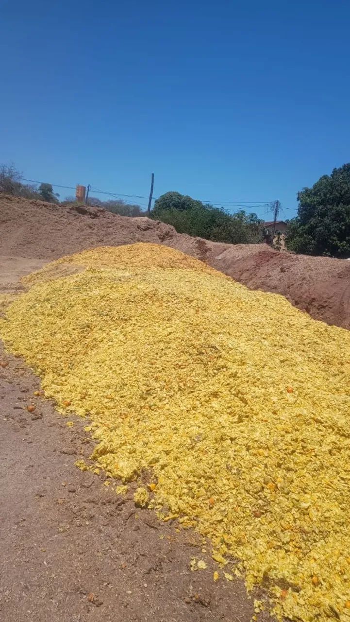 Bagacinho de laranja 