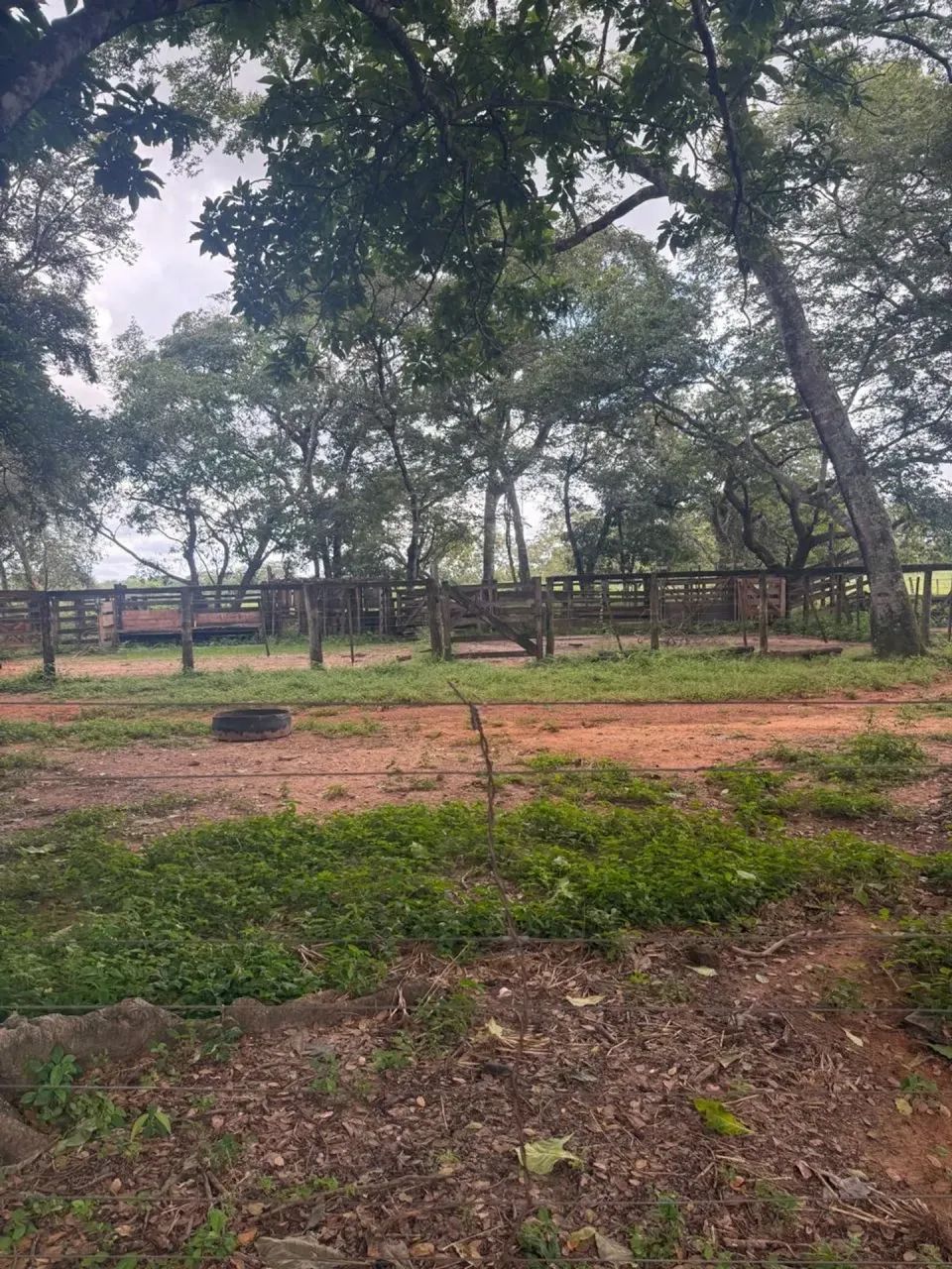 Fazenda a venda, em Dianópolis - Tocantins!!! - Foto 3