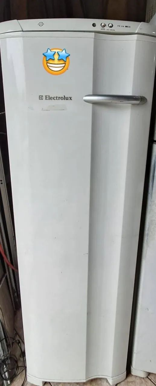 Freezer Vertical Electrolux FE26