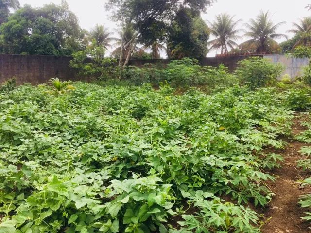 Terreno 1.000m2 de 20x50 - Condomínio Recanto de Aldeia KM 12! - Foto 4