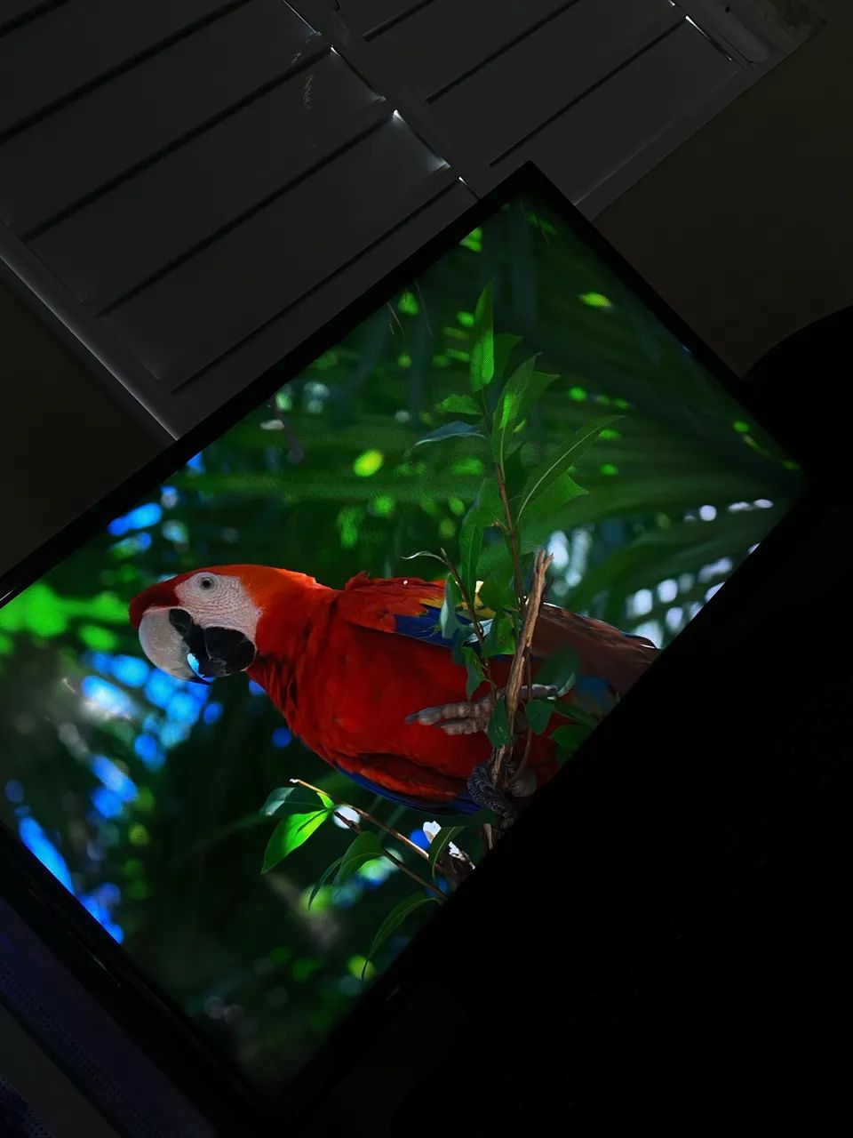 Tv Samsung 2013 - Foto 4