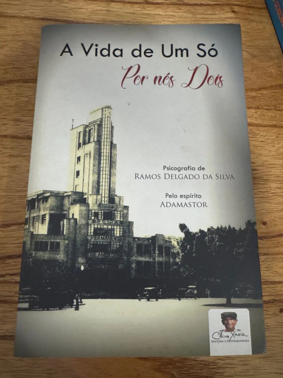A vida de um só por nós dois RAMOS DELGADO DA SILVA