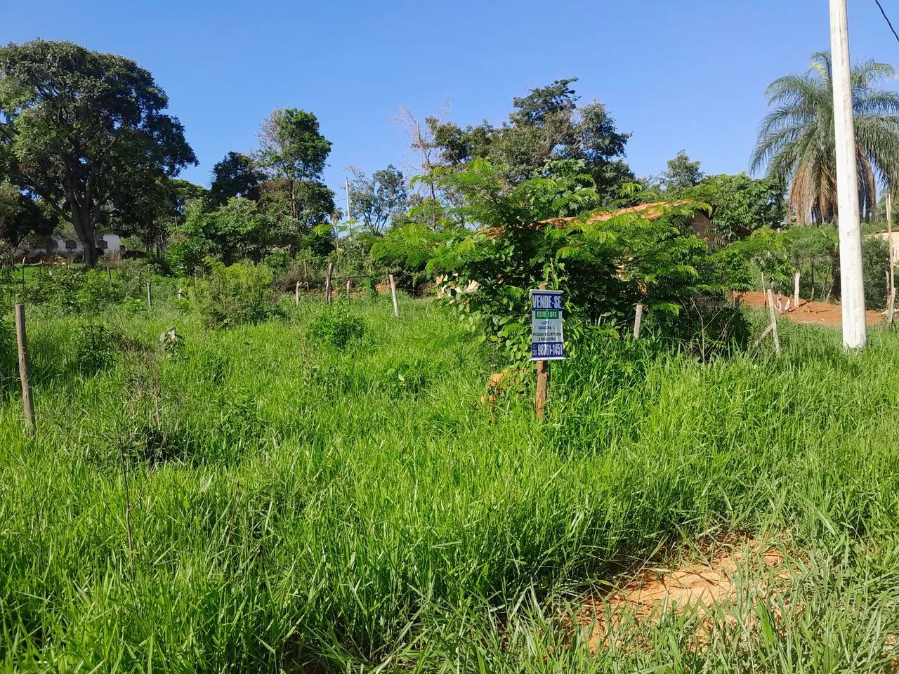 Lotes no bairro paraíso em mateus leme  - Foto 4