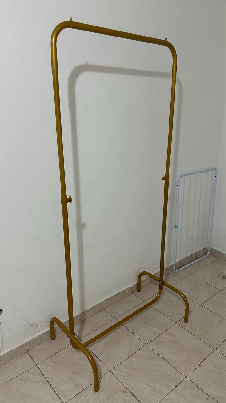 Arara dourada - Foto 2