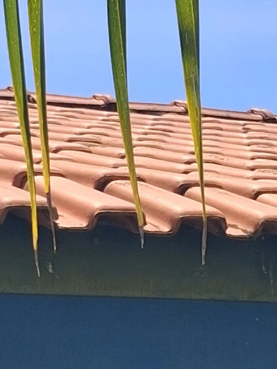 Telhas - Foto 2