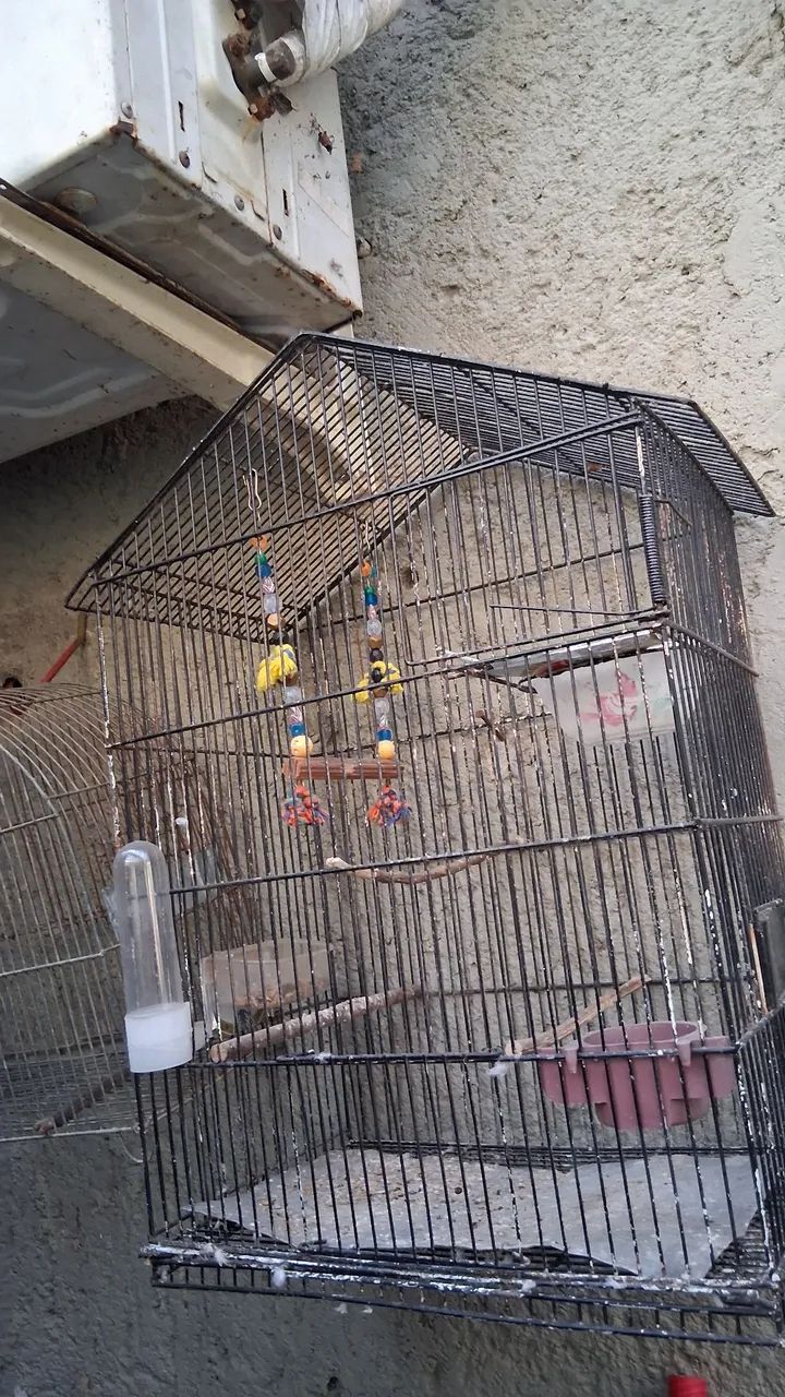 Gaiolas