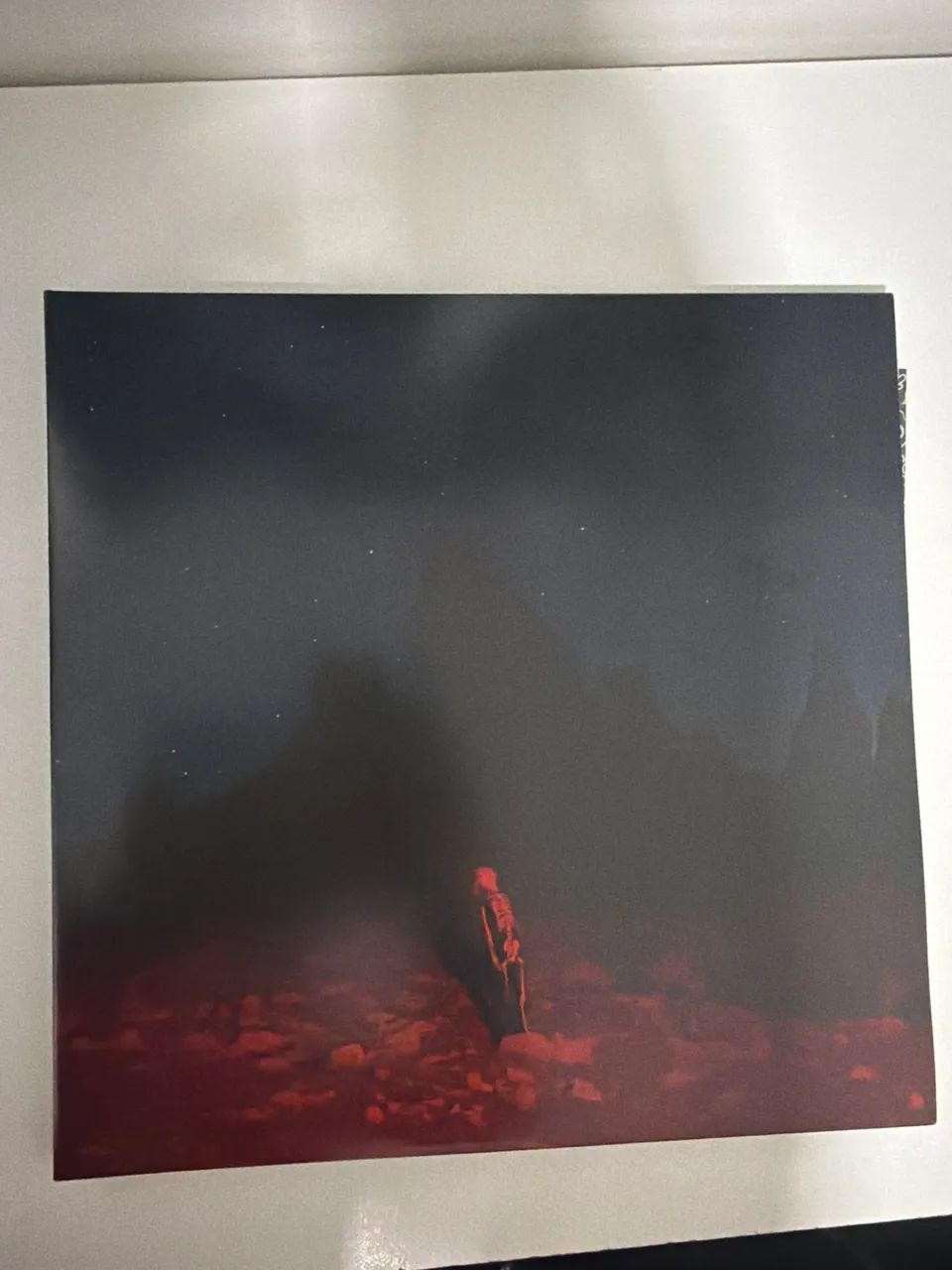 Vendo disco de vinil PUNISHER - Phoebe Bridgers