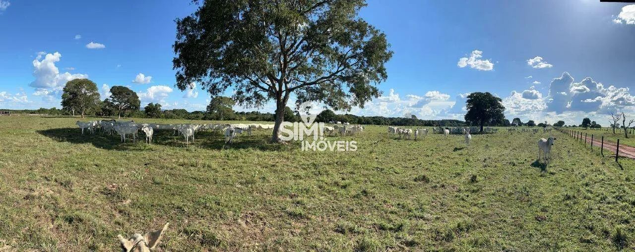 Fazenda em Araguaçu TO - Foto 5