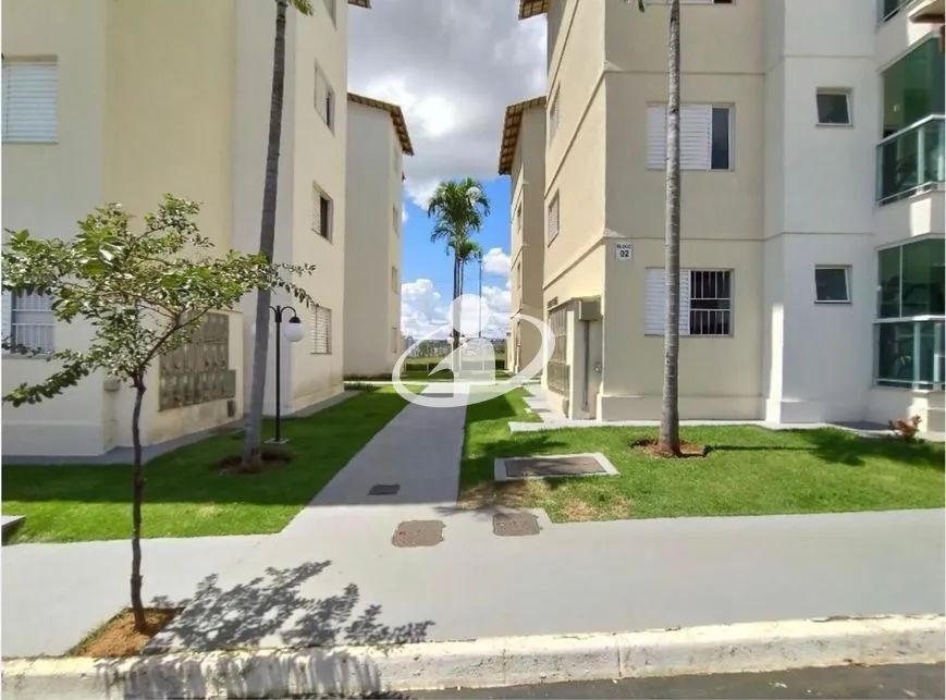 Aluguel Apartamento ALTO UMUARAMA
