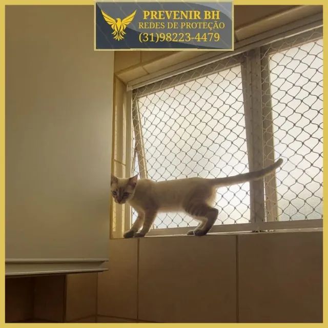 tela para gatos - Foto 4