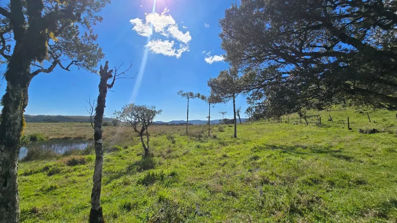 Sítio 2 km de Urupema - Foto 4