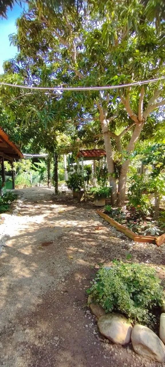 VENDO CASAS NA BEIRA DE LAGO - Foto 5