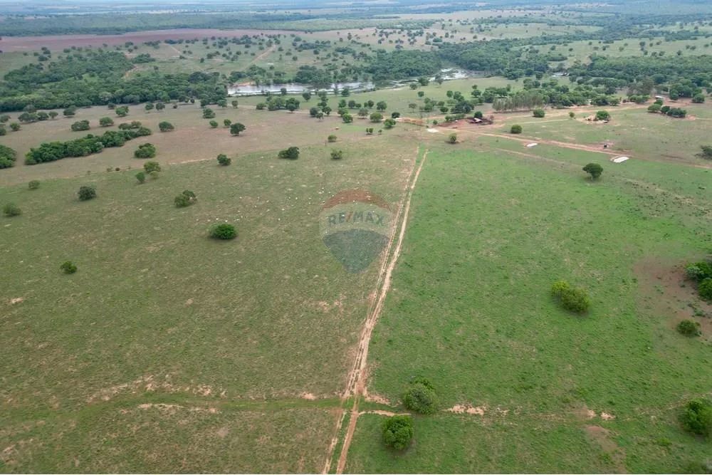 Fazenda à Venda - Oportunidade no Sul do Tocantins - Foto 5