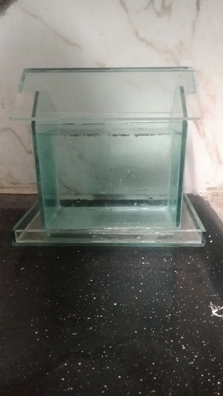 Aquário com 1 peixe ? - Foto 2